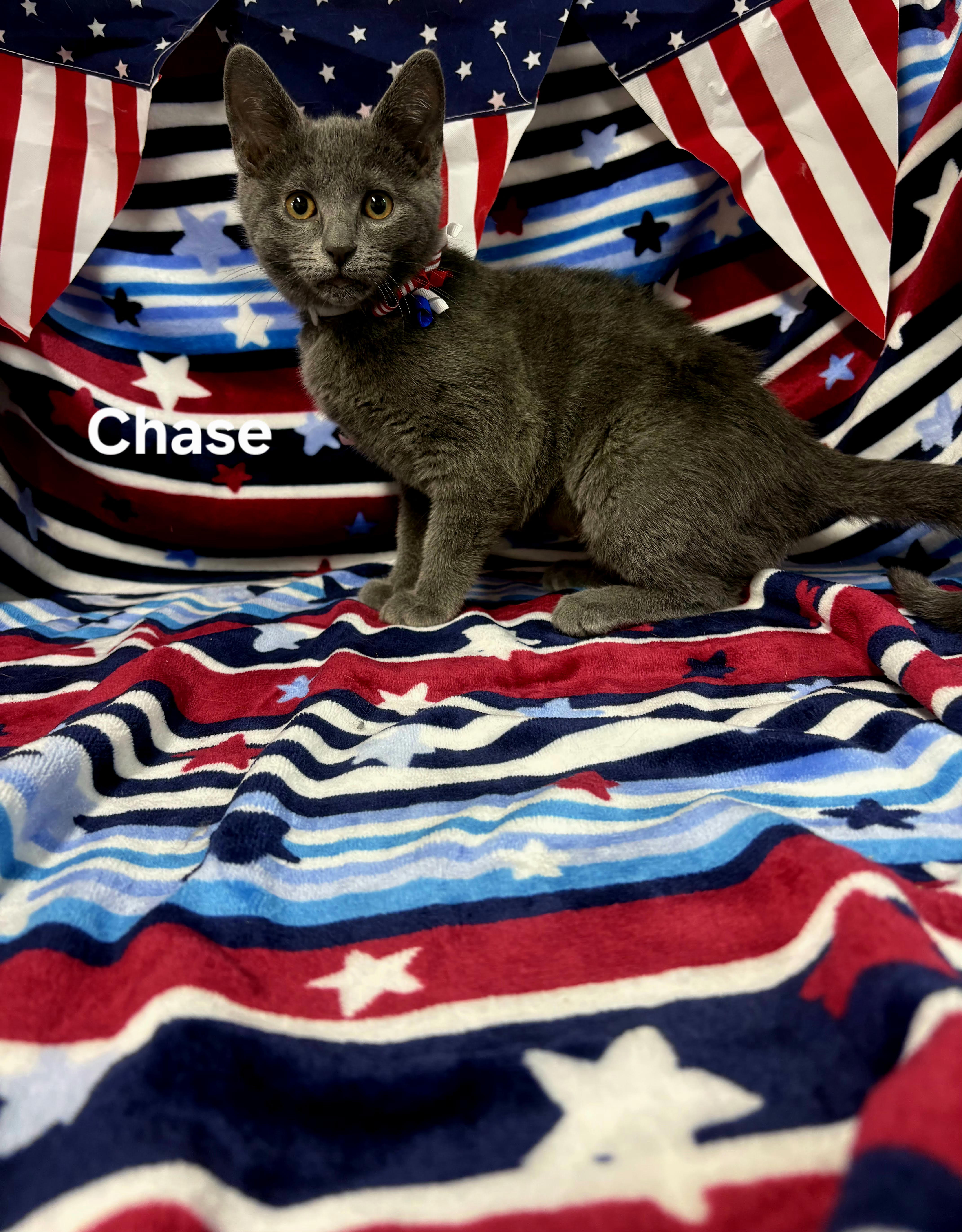 Chase